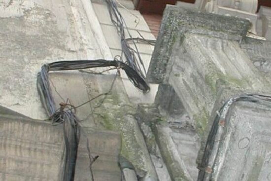 19.–tendidos-matriz