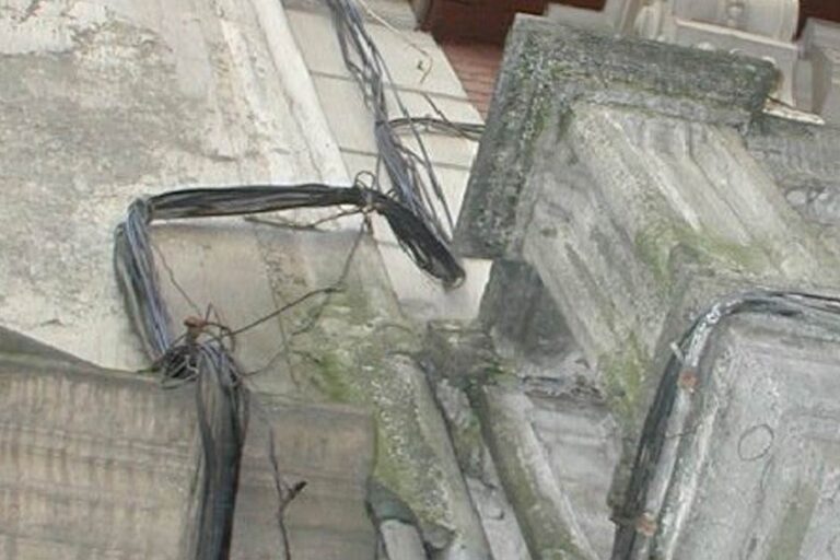 19.–tendidos-matriz